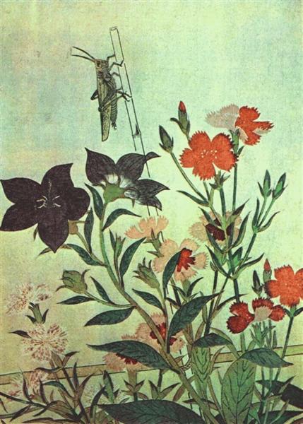 rice-locust-red-dragonfly-pinks-chinese-bell-flowers-1788.jpg!Large